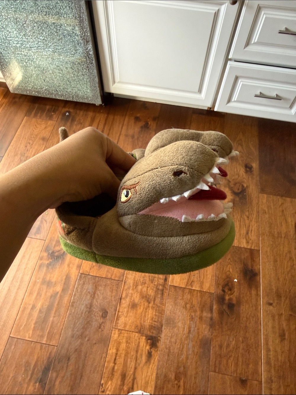 Jurassic park dinosaur T. rex slippers size 9/10